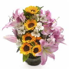 Encanto de L�rios Cor de Rosa com Girass�is