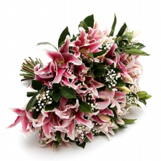 Buqu� de L�rios Cor de Rosa Com 1 D�zia