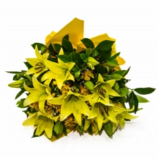 Buque Encanto de L�rios e Astro - Amarelo