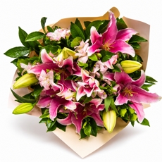 Buque Encanto de L�rios e Astro - Cor de Rosa