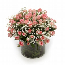 Aqu�rio de Mini Rosas Cor de Rosa