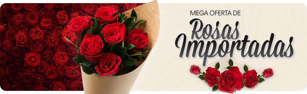 Rosas Importadas